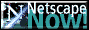 netscape-now.gif (1575 byte)